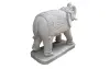 Product image 3 of the product “Indian elephant length approx.100cm, head facing right and right foot forward ”